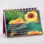 365 happiness 4
