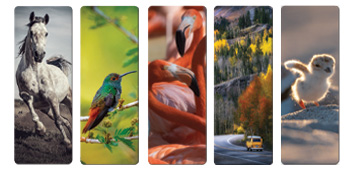 3D книгоразделители