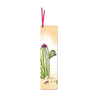 simetro-razdelitel-cactus