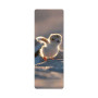 3D-Flip-bookmark-morski-bregobegach-front-1