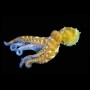 3d-cardB-octopus