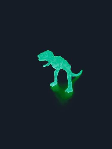Glow-in-the-dark dinosaur skeleton dig kit