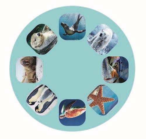 Sea creatures projector torch