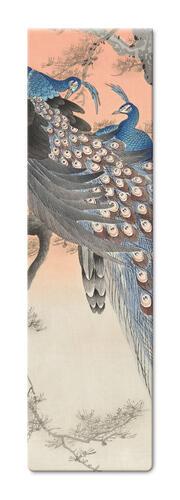 Two Peacocks