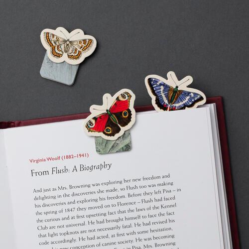 Butterflies