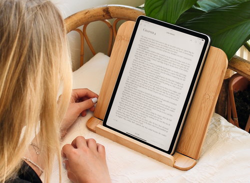 Bamboo book stand