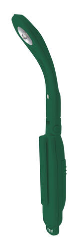 Forest green