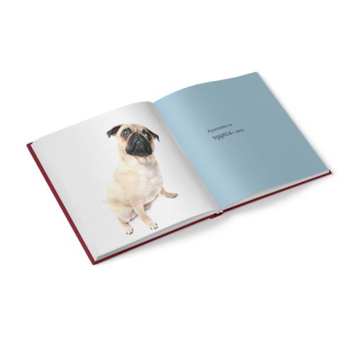 About Dogs