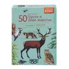 50 европейски горски и диви животни