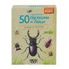 50 европейски насекоми и паяци