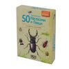 50 европейски насекоми и паяци