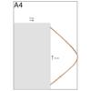 Принцеса