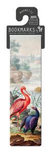 Classics | Birds near a Mountain Stream