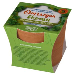 Grow at home | Four Leaf Clover