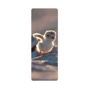 3D bookmark | Shorebird