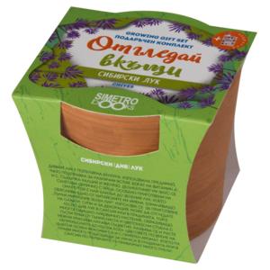 Grow at home | Siberian onion