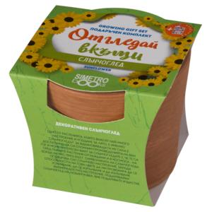 Grow at home | Sunflower