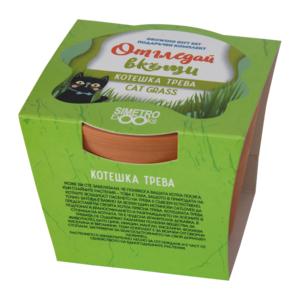 Grow at home | Cat's grass