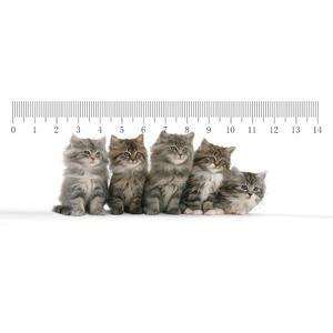 3D книгоразделител | Линийка - Пет котенца